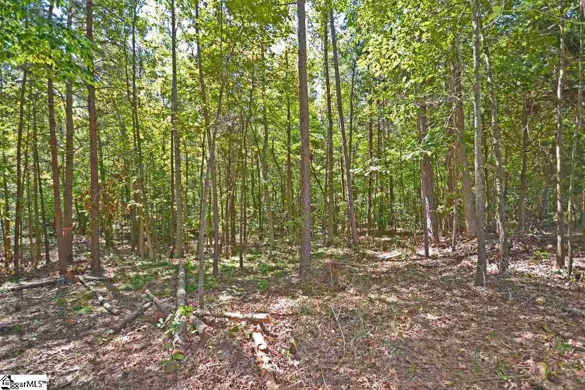 145 Finley Road, Unit B Belton, SC 29627 - Photo 22 of 22