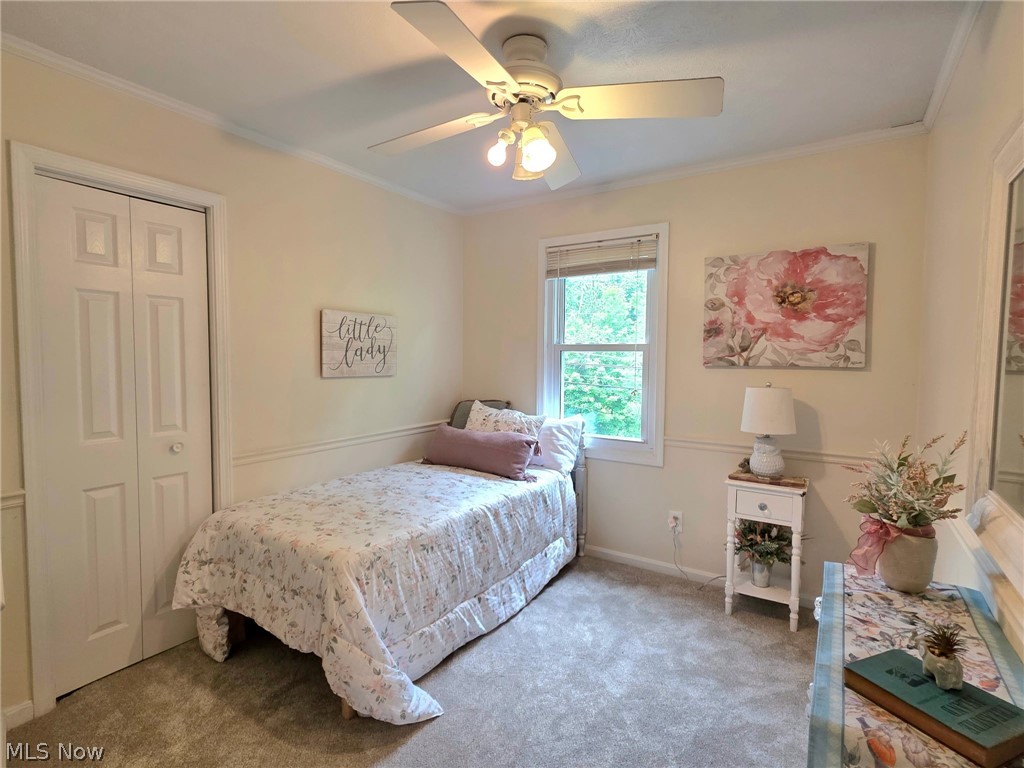398 North Chillicothe Road Aurora, OH 44202 - Photo 25 of 39 Carpeted room featuring a ceiling fan with integrated lighting, a window, bifold closet doors, and chair rail molding