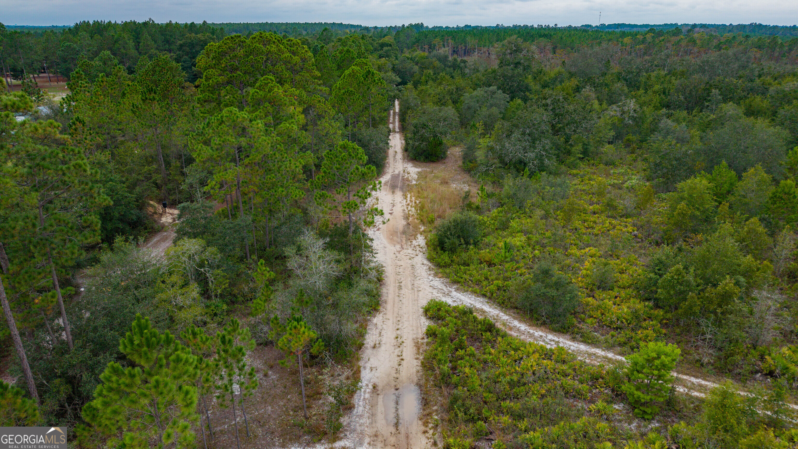 0 Bennett Road Screven, GA 31560 - Photo 49 of 52 Gallery Image 49