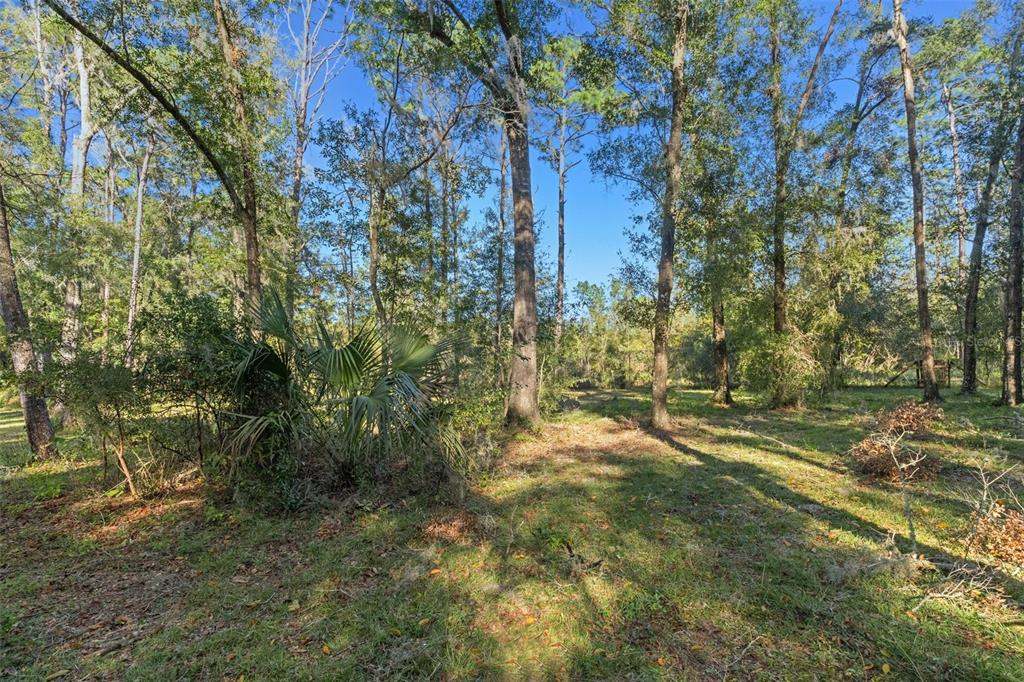 10271 South Evans Point Inverness, FL 34452 - Photo 31 of 36