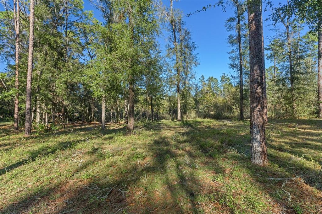 10271 South Evans Point Inverness, FL 34452 - Photo 32 of 36