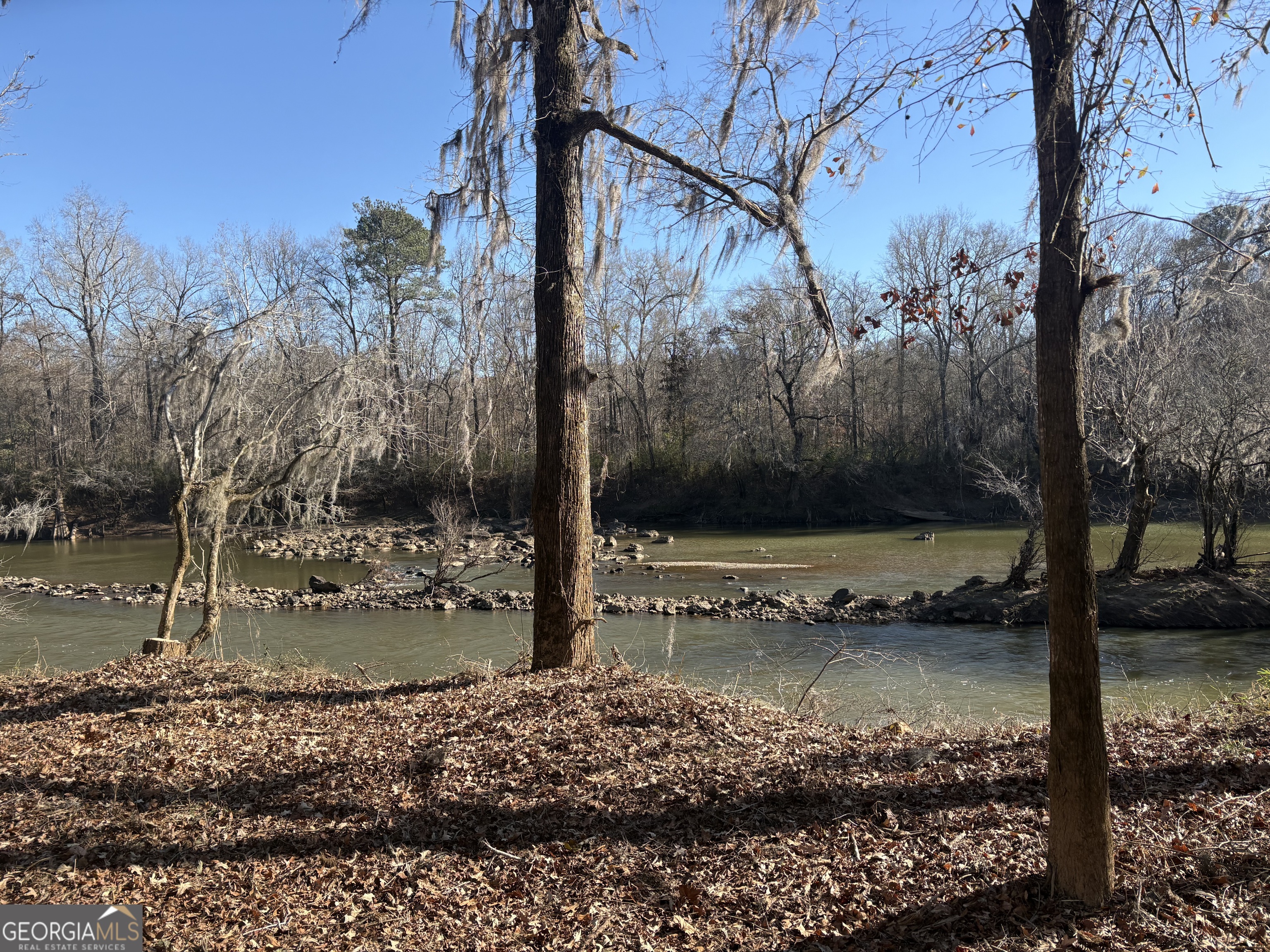 0 Sandy Creek Road Irwinton, GA 31042 - Photo 8 of 31