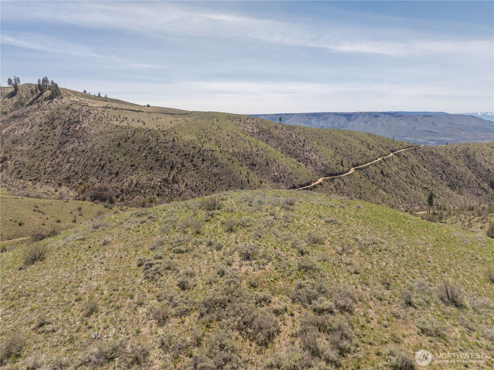 295 Hawks Ridge Road Chelan, WA 98816 - Photo 15 of 31 a view of a dry yard with mountains in the background