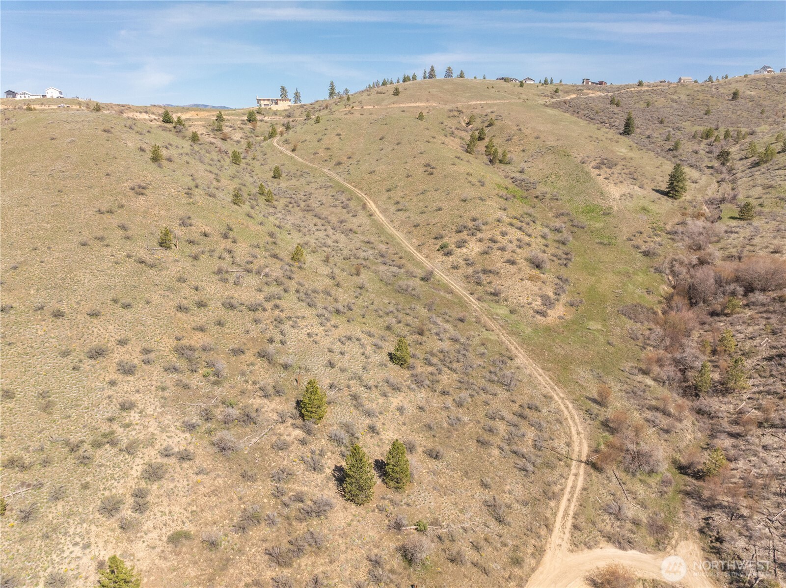 295 Hawks Ridge Road Chelan, WA 98816 - Photo 20 of 31 a view of a dry yard