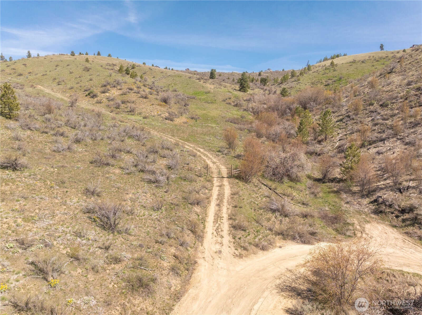 295 Hawks Ridge Road Chelan, WA 98816 - Photo 21 of 31 a view of a dry yard