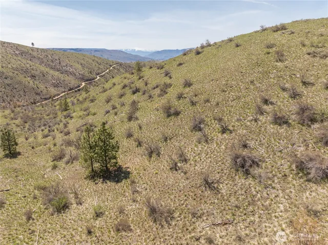 a view of a dry yard with mountains in the background