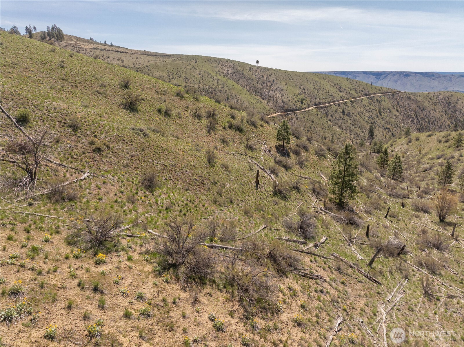 295 Hawks Ridge Road Chelan, WA 98816 - Photo 25 of 31 a view of a dry yard with mountains in the background