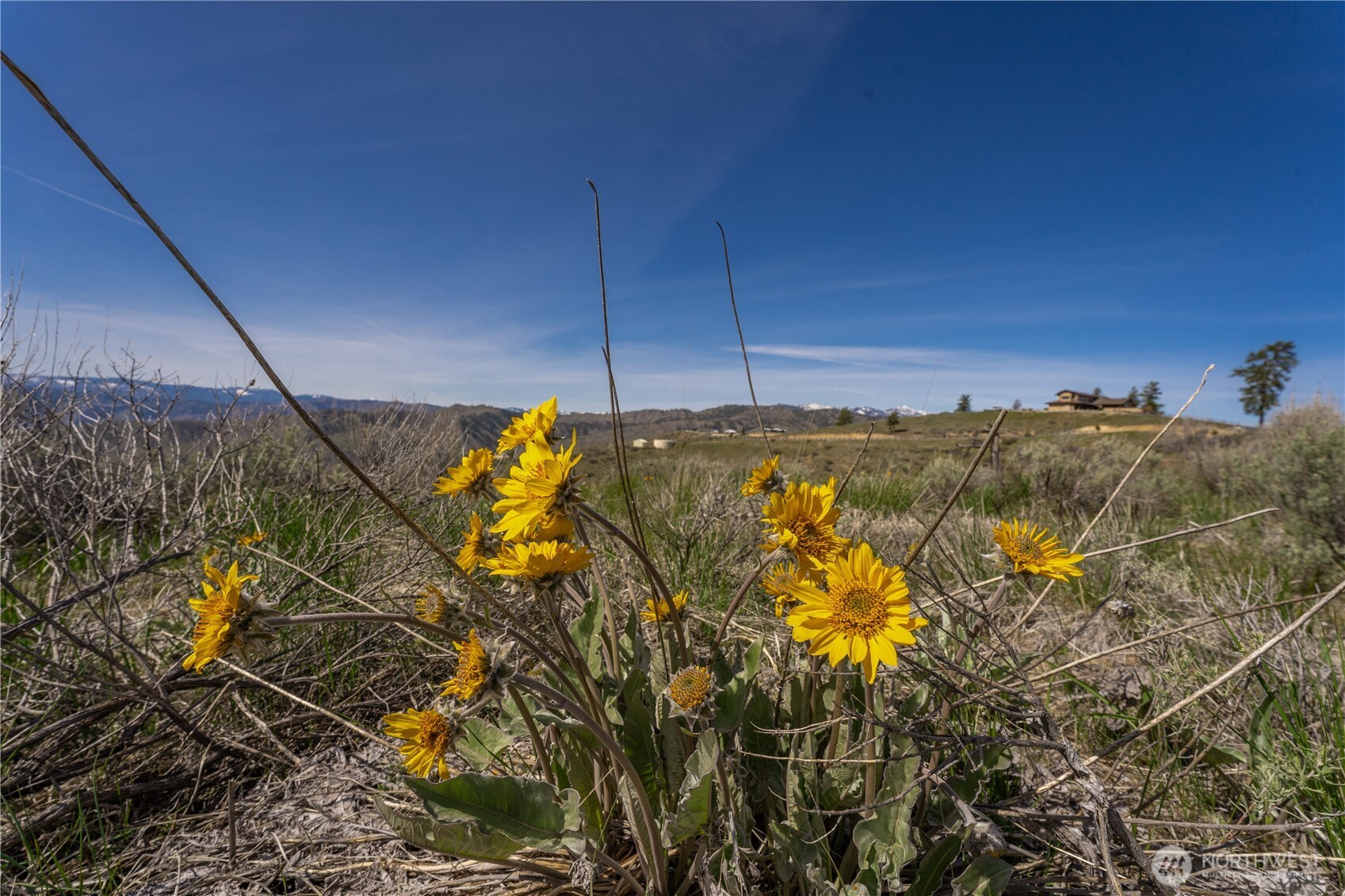 295 Hawks Ridge Road Chelan, WA 98816 - Photo 8 of 31