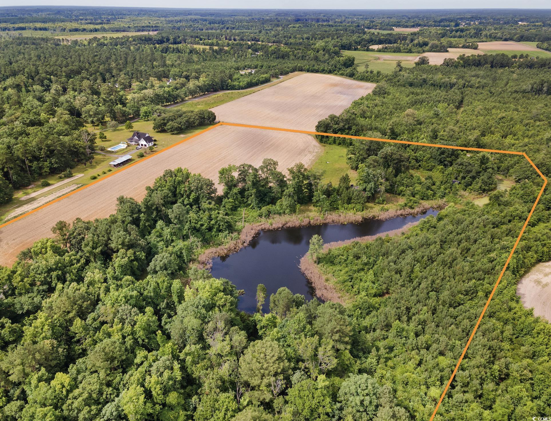 Aerial view featuring a water view and a wooded vi
