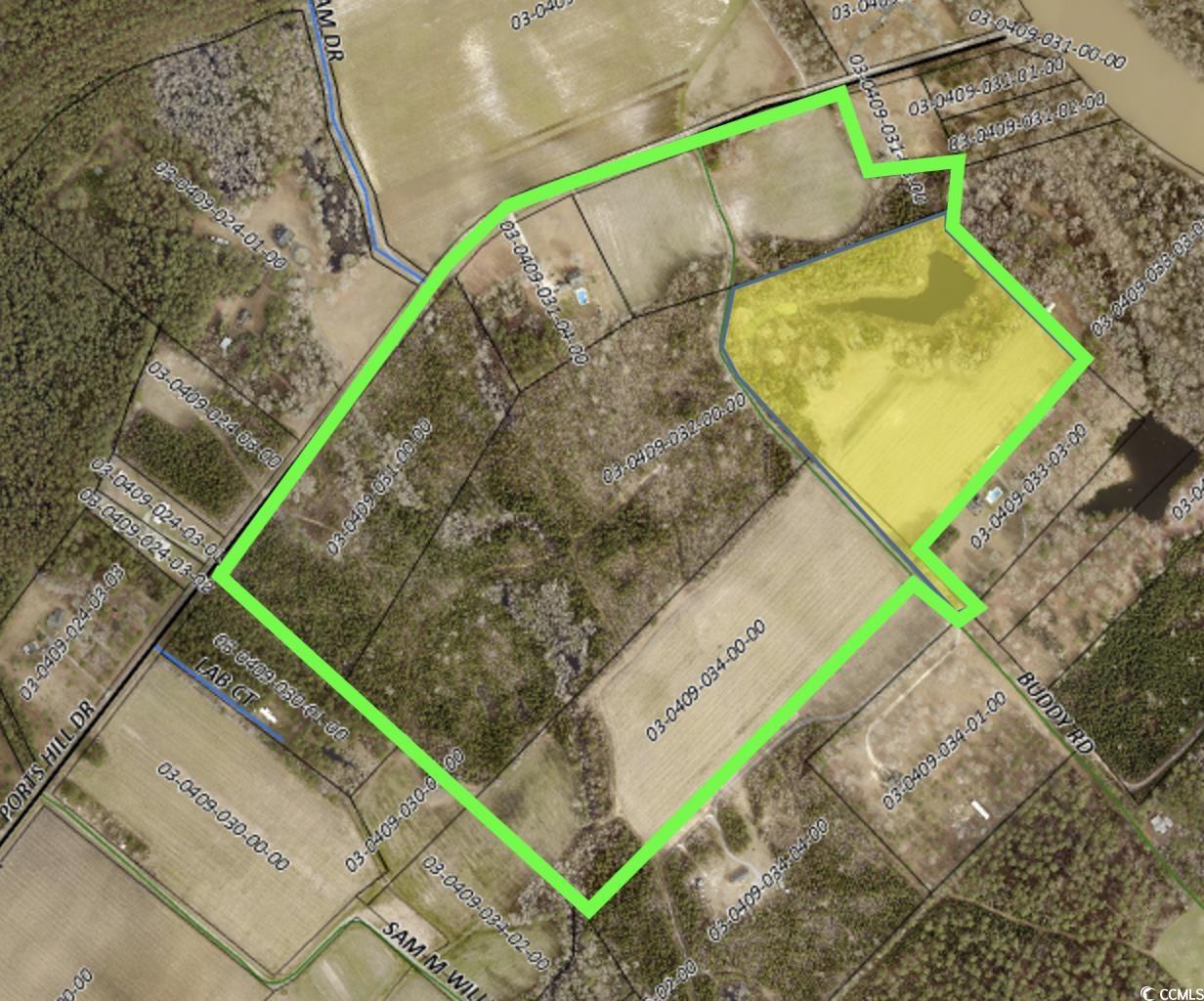 209 Buddy Road Hemingway, SC 29554 - Photo 4 of 4 Map