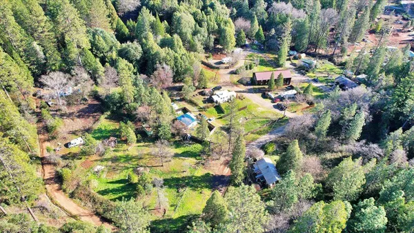 a view of dirt yard with large trees