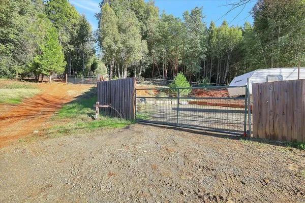 a view of a yard with plants and trees