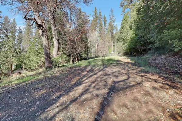 a view of backyard with green space