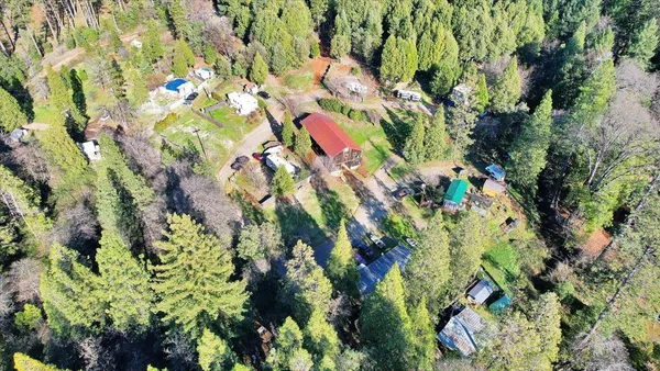 a view of a yard with a tree