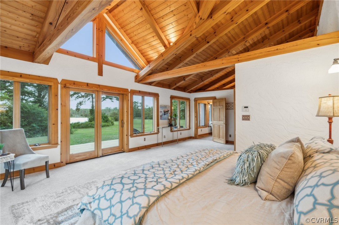 228 Field Point Road Moon, VA 23119 - Photo 30 of 49 a bedroom with furniture and large windows