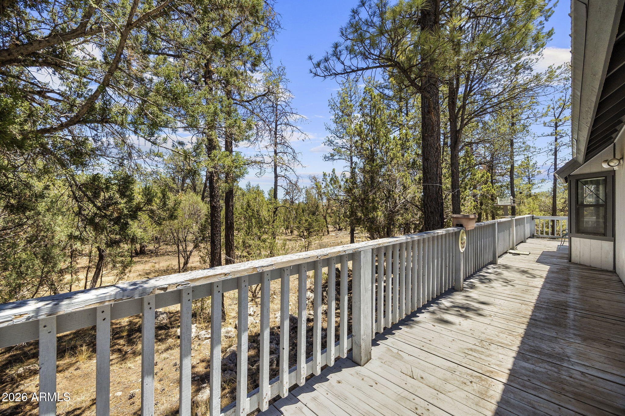 2142 Rimview Trail Overgaard, AZ 85933 - Photo 5 of 39 2142RimviewTrl-Heber-AZ-5