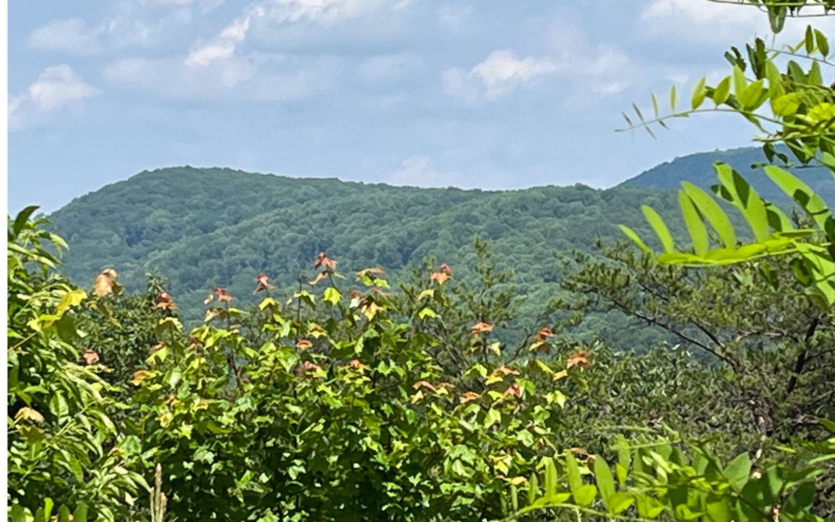 Lt234 Lt234 Stone Clf Dr