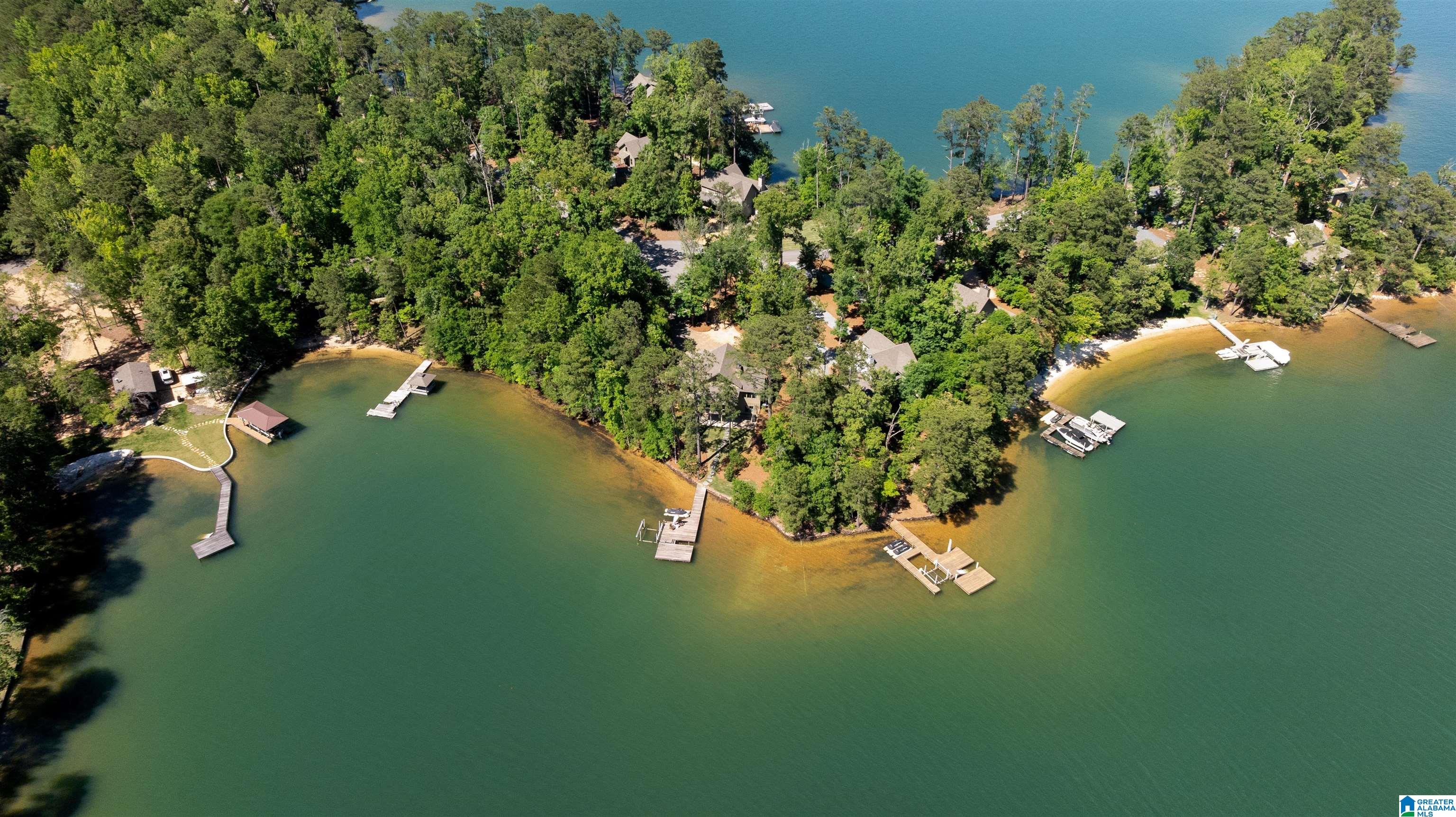 118 Canoe Point Eclectic, AL 36024 - Photo 58 of 60