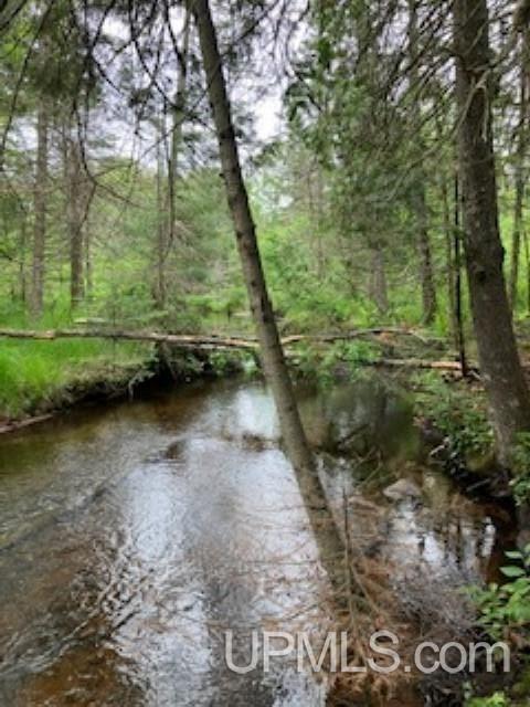 E6646 Doe Lake Road Munising, MI 49862 - Photo 22 of 24