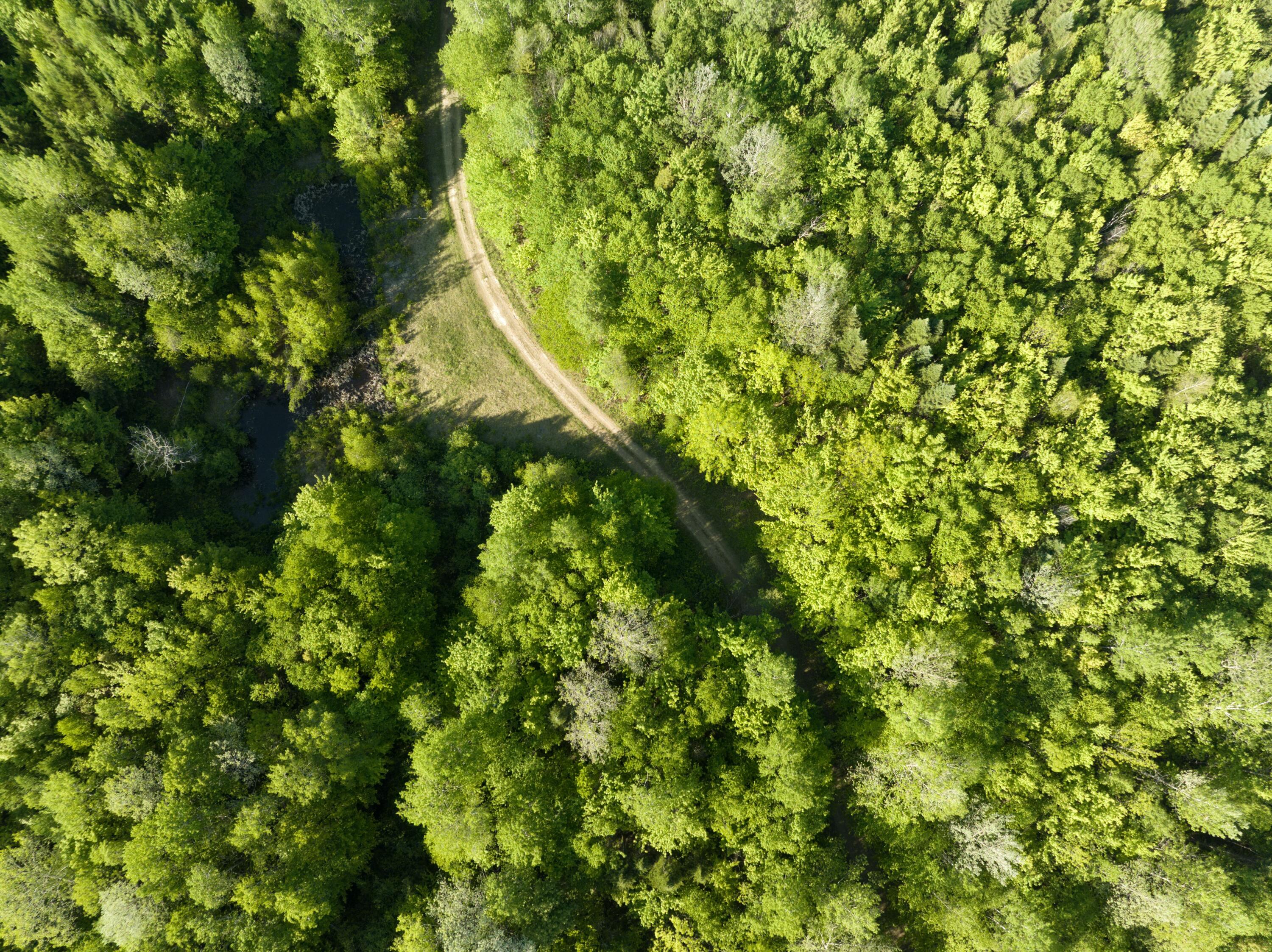 0 Dixie Road Wytopitlock, ME 04497 - Photo 7 of 22