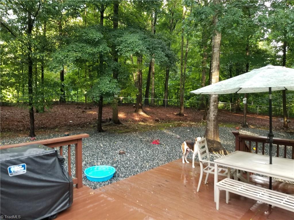 6990 Williams Country Road Staley, NC 27355 - Photo 15 of 20