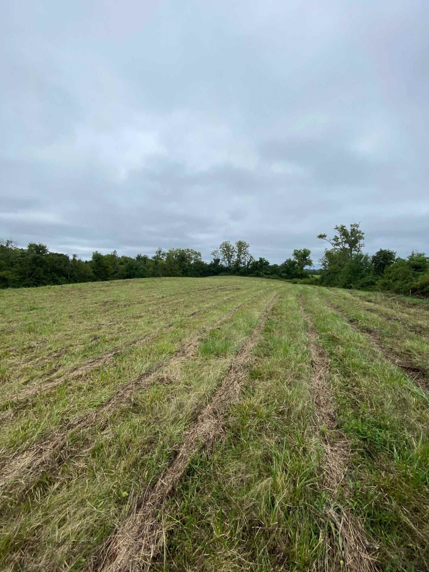 3 Baton Rouge Road Williamstown, KY 41097 - Photo 3 of 25