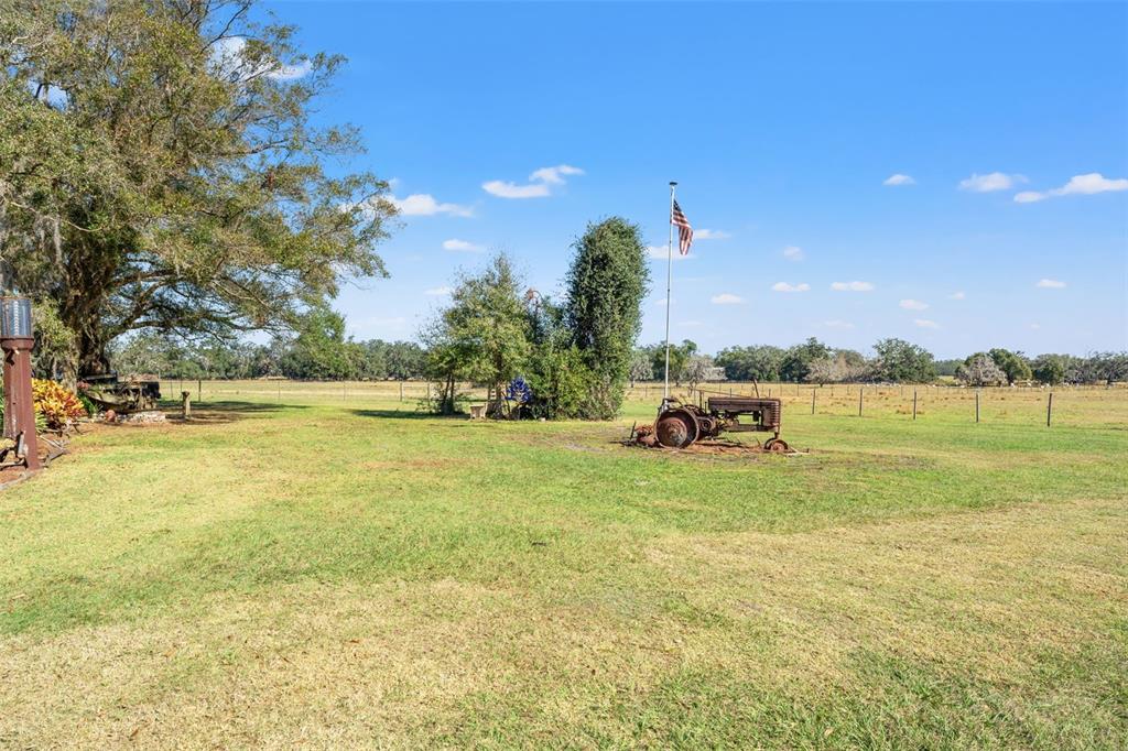 28121 Miller Road Dade City, FL 33525 - Photo 67 of 74 Gallery Image 67