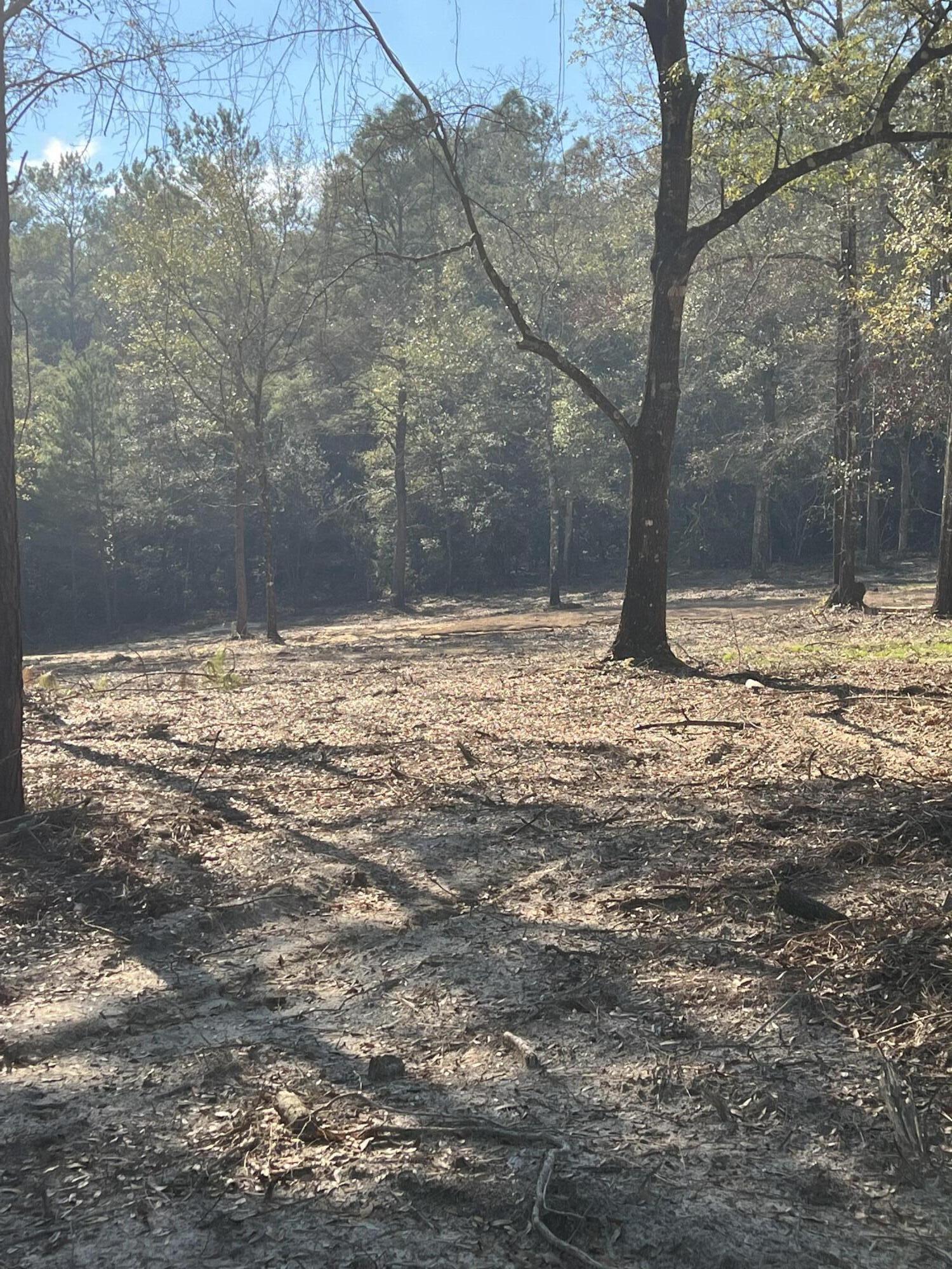 Lot 10 Elmwood Road DeFuniak Springs, FL 32433 - Photo 1 of 12 IMG-3952 (1)