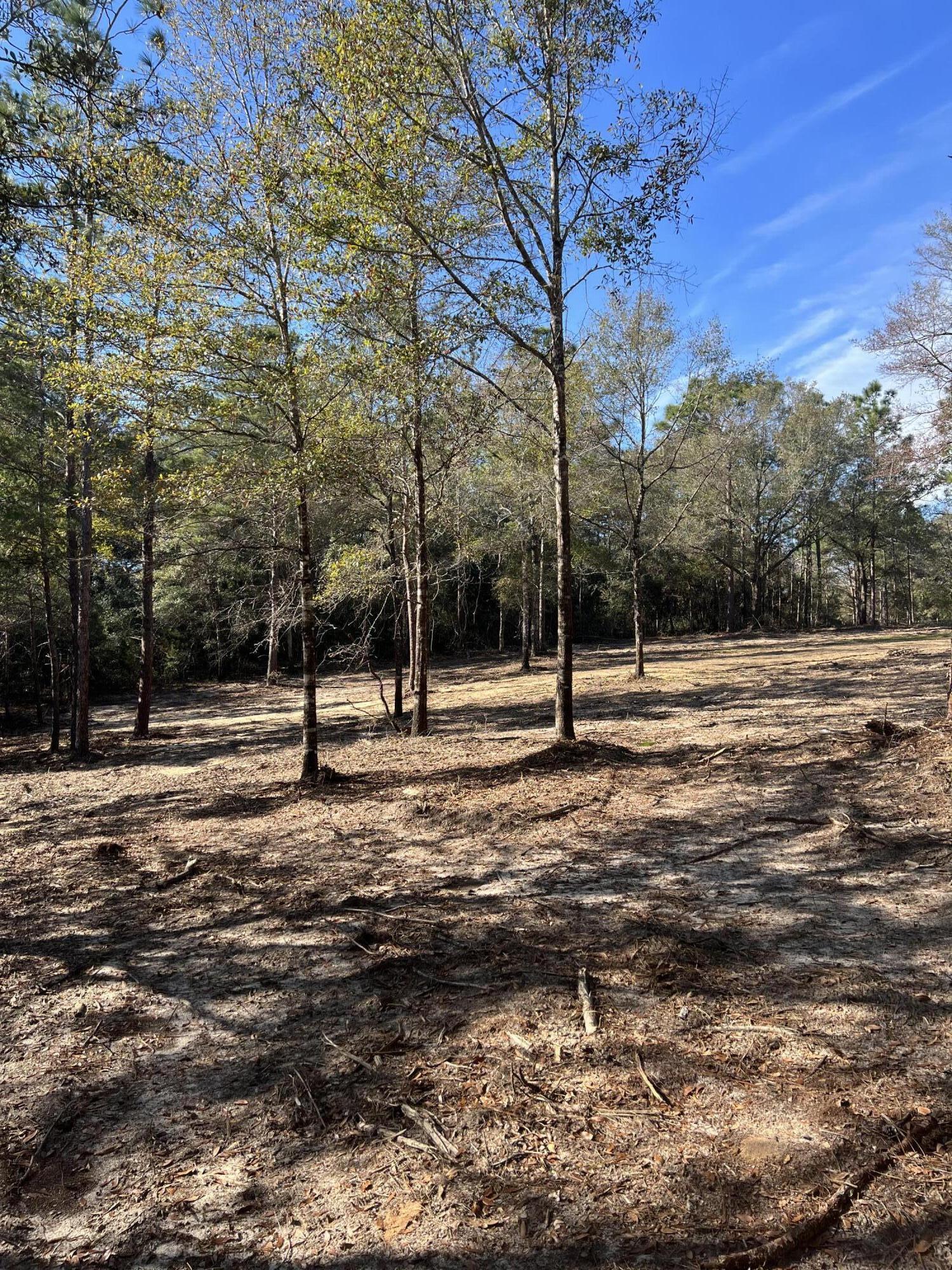 Lot 10 Elmwood Road DeFuniak Springs, FL 32433 - Photo 11 of 12 IMG-3947