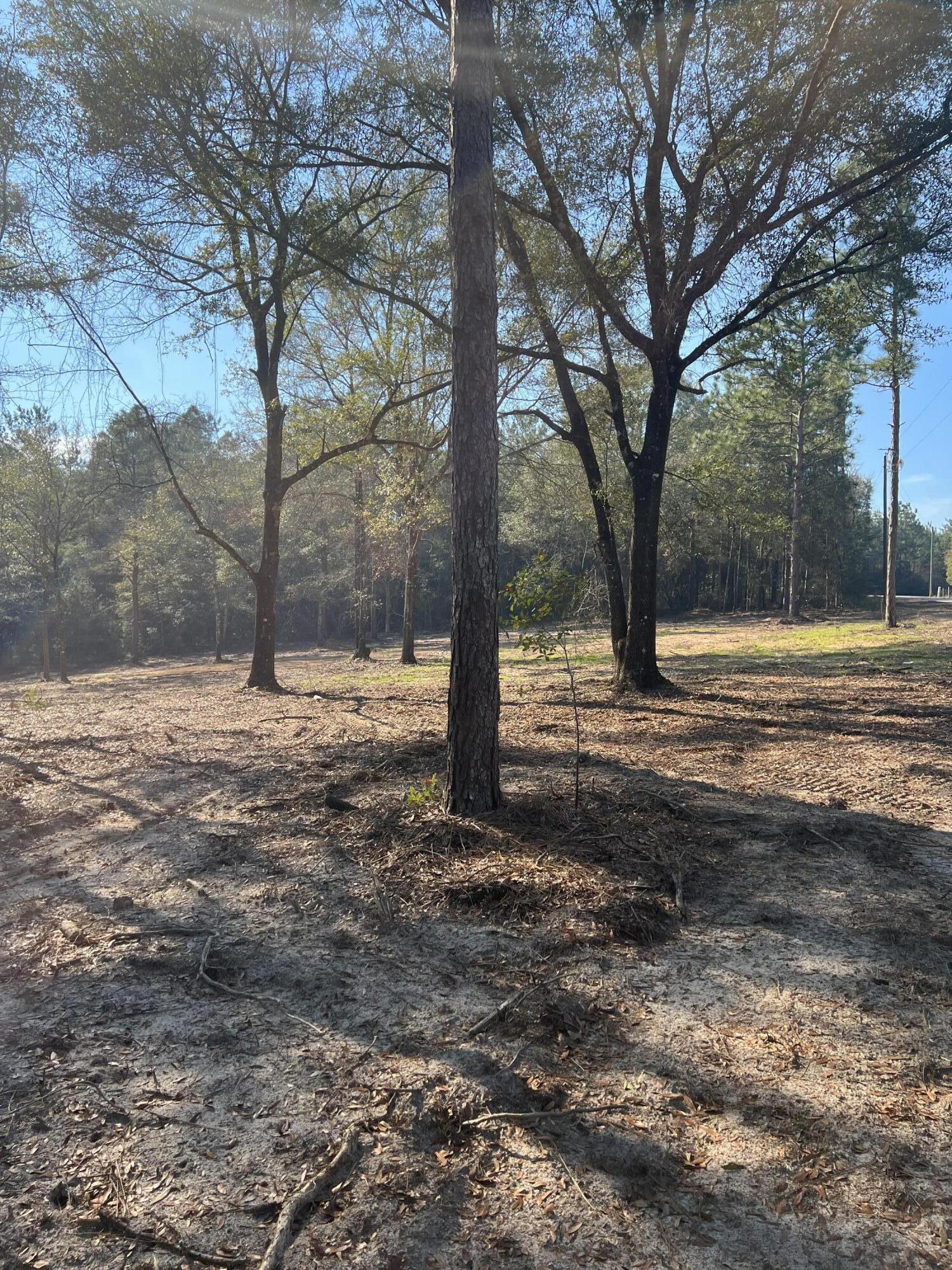 Lot 10 Elmwood Road DeFuniak Springs, FL 32433 - Photo 3 of 12 IMG-3951
