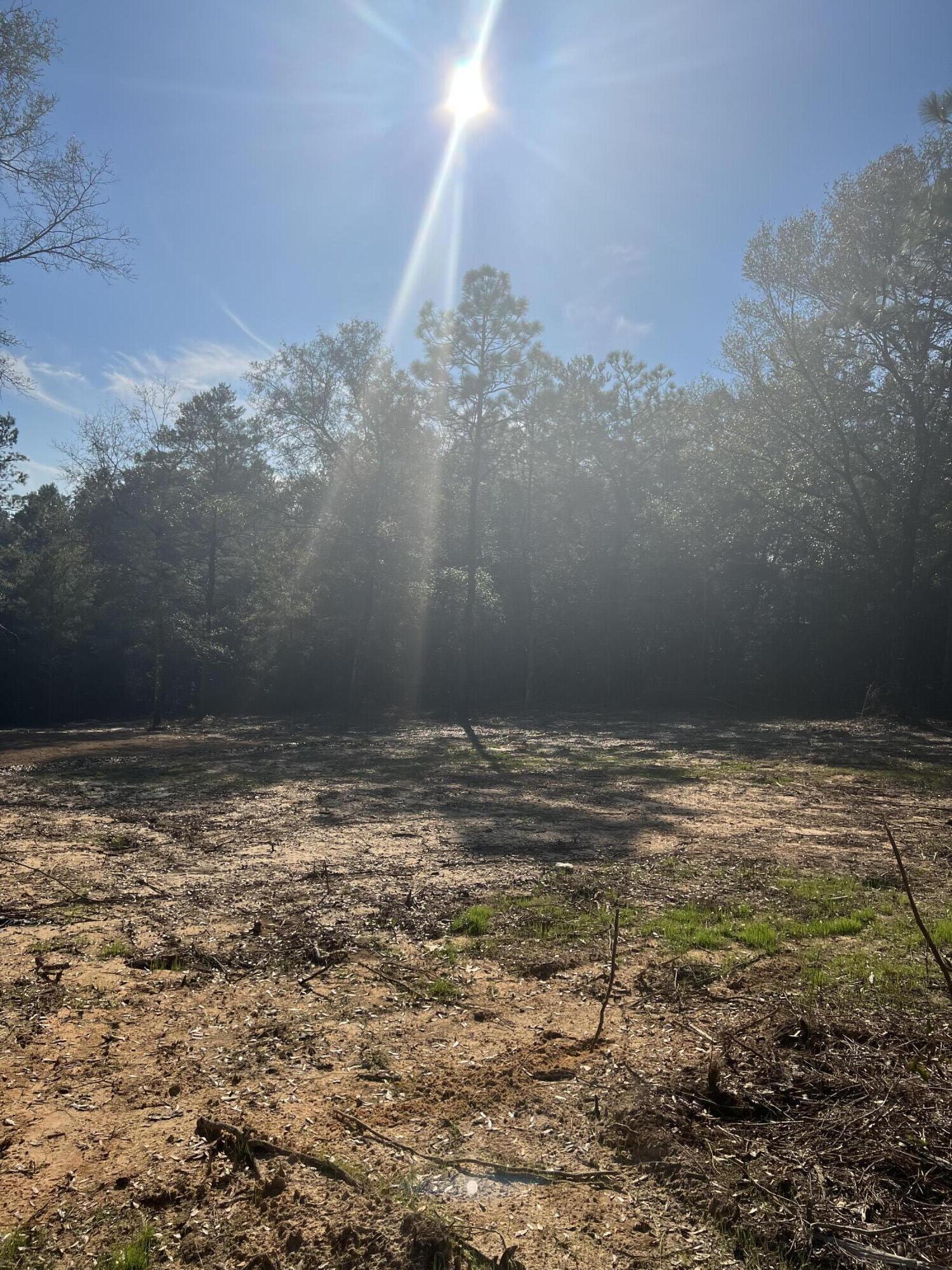 Lot 10 Elmwood Road DeFuniak Springs, FL 32433 - Photo 8 of 12 IMG-3961