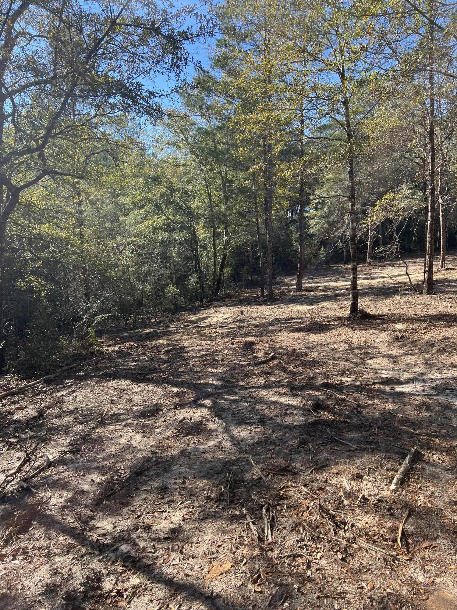 Lot 10 Elmwood Road DeFuniak Springs, FL 32433 - Photo 9 of 12 IMG-3948