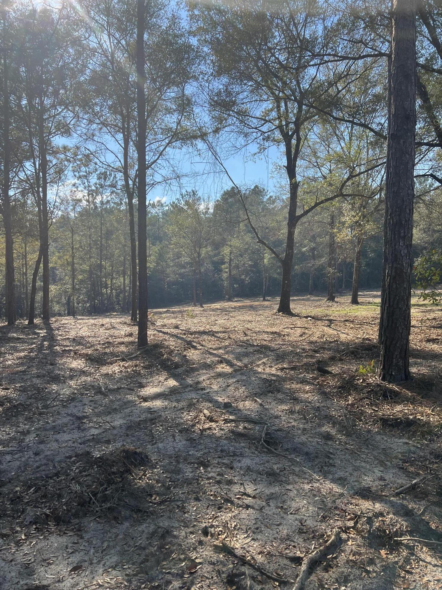 Lot 10 Elmwood Road DeFuniak Springs, FL 32433 - Photo 10 of 12 IMG-3950