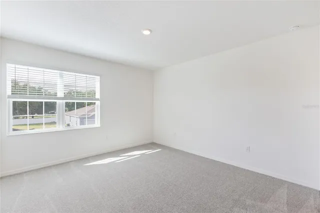 a view of a park with tree s