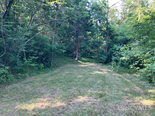 233 Felicity Cedron Rural Road Georgetown, OH 45121 - Photo 3 of 5