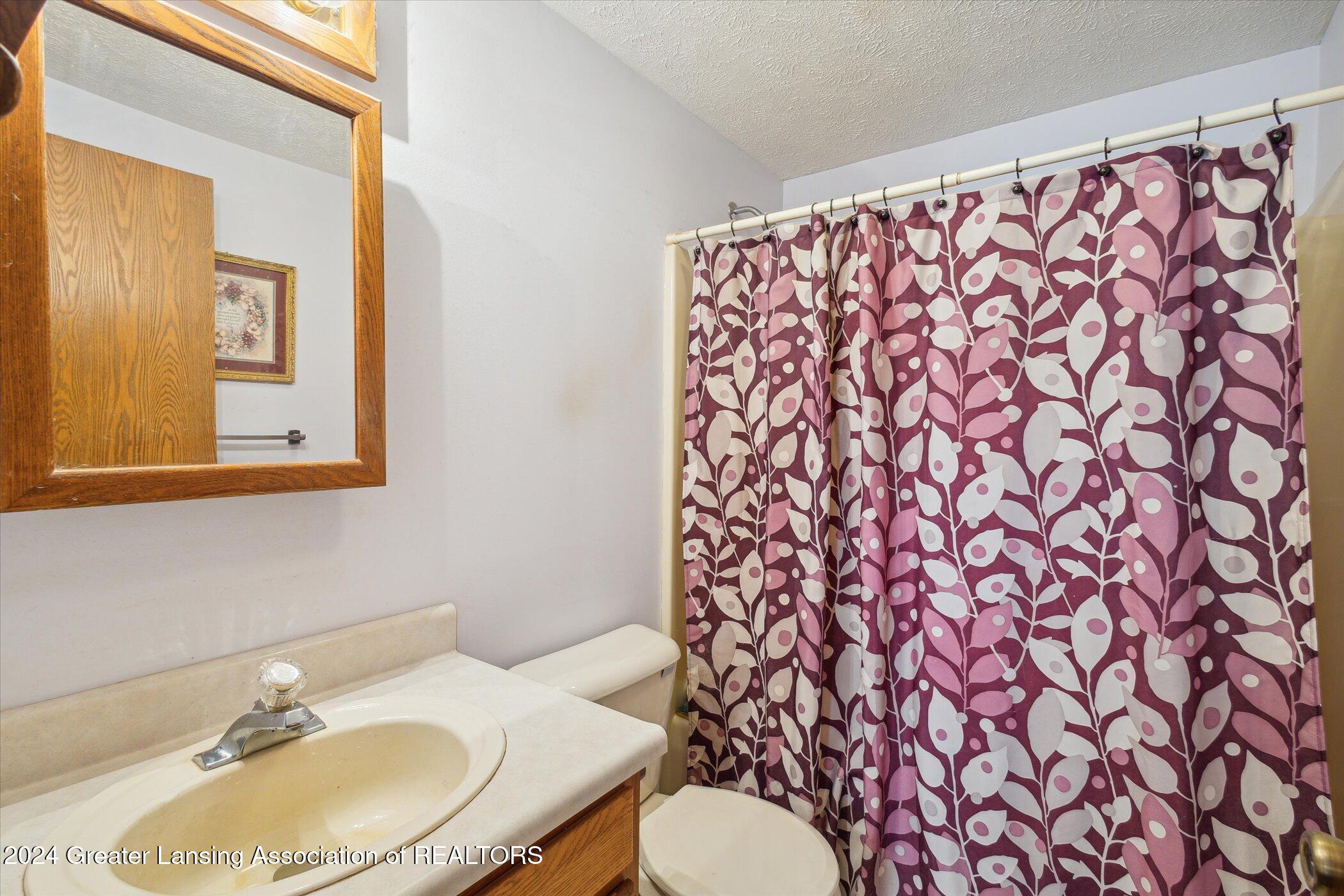 3651 Plains Road Mason, MI 48854 - Photo 21 of 51 master bath