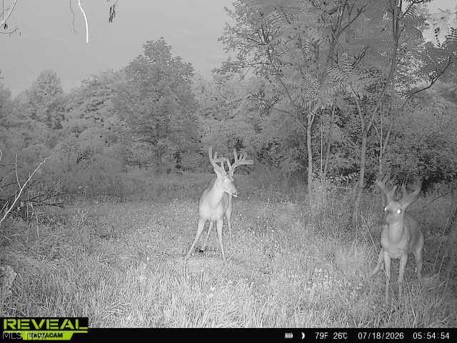 560 Wickens Road Macksburg, OH 45746 - Photo 8 of 43 Gallery Image 8