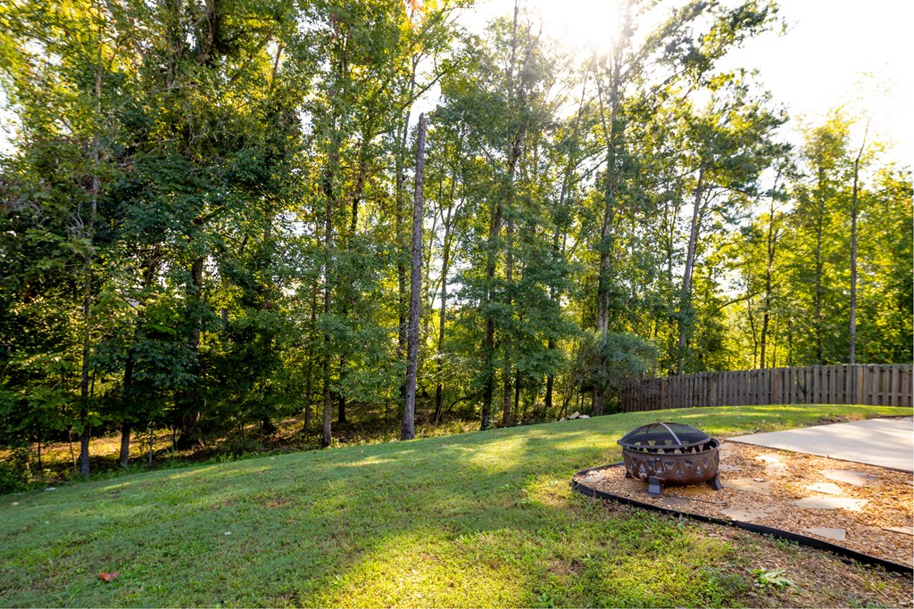 9799 Yellow Pine Road Midland, GA 31820 - Photo 6 of 28 Gallery Image 6