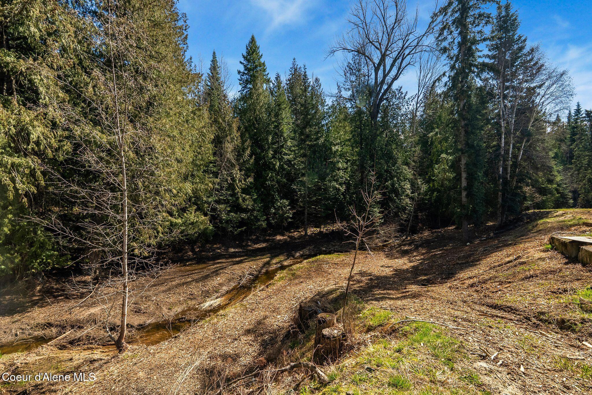 300 Sunny Shadows Lane Sandpoint, ID 83864 - Photo 44 of 84 Back of Property