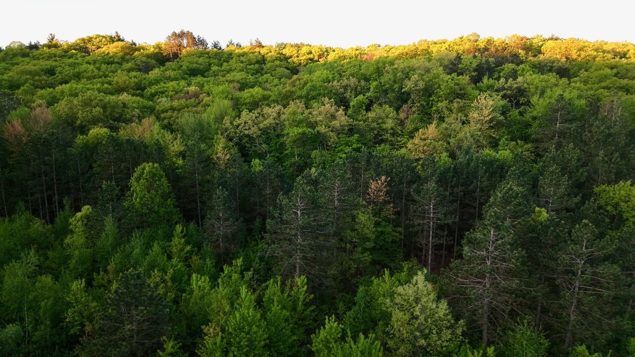 3824 County Highway East Warrens, WI 54666 - Photo 38 of 73