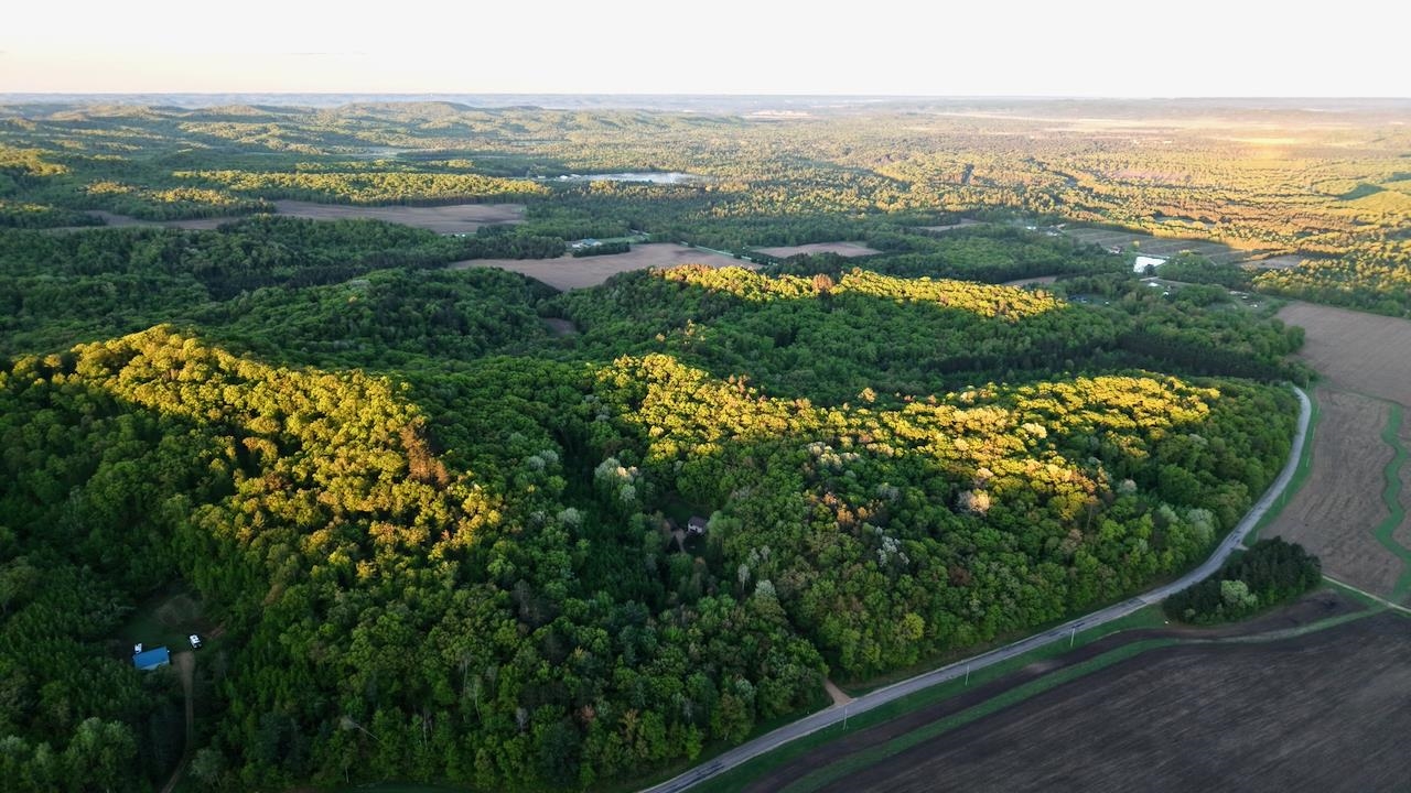 3824 County Highway East Warrens, WI 54666 - Photo 40 of 73