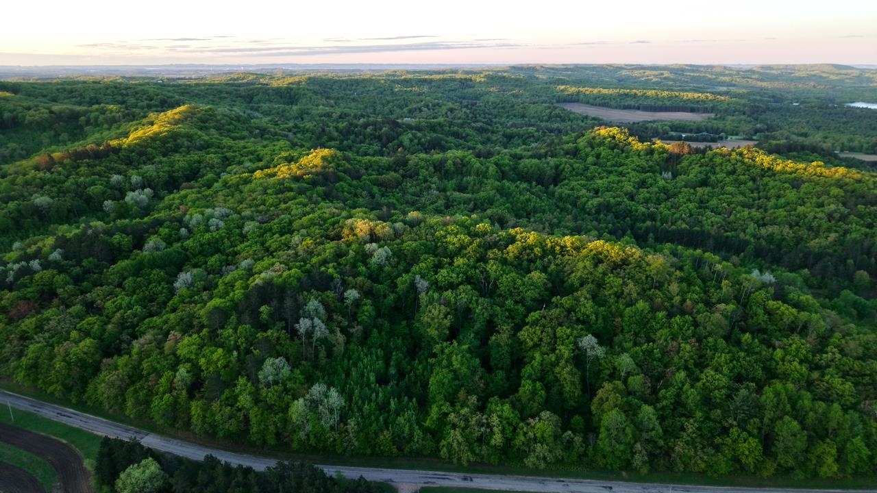 3824 County Highway East Warrens, WI 54666 - Photo 4 of 73