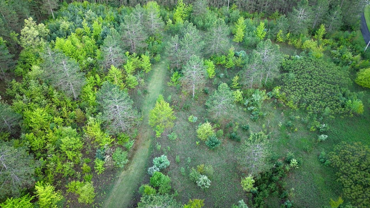 3824 County Highway East Warrens, WI 54666 - Photo 44 of 73
