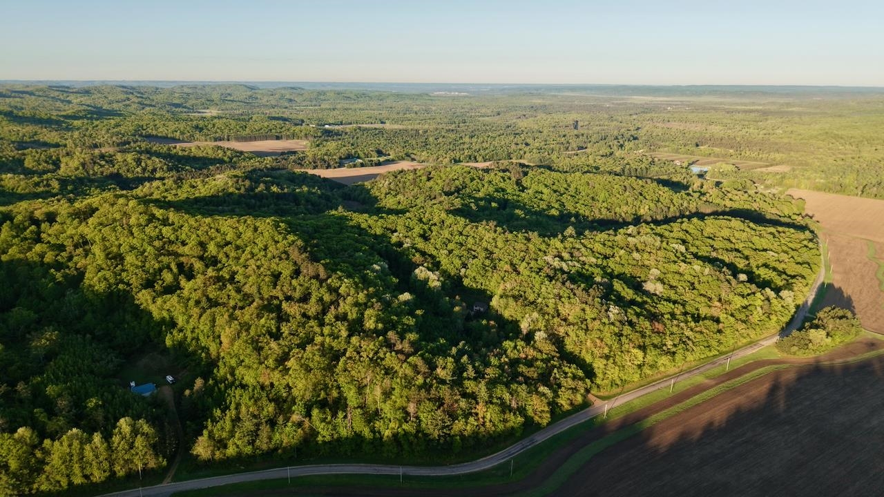 3824 County Highway East Warrens, WI 54666 - Photo 45 of 73