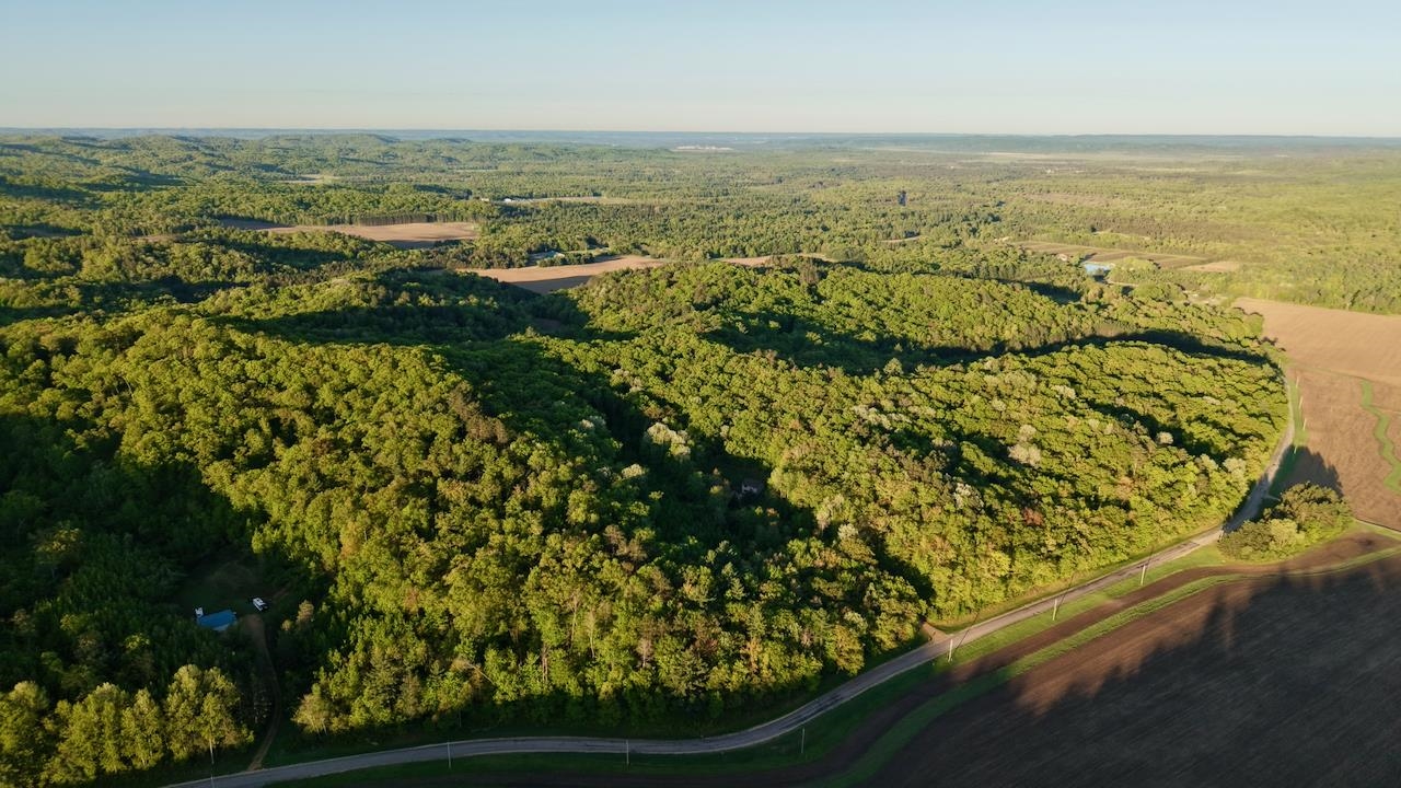 3824 County Highway East Warrens, WI 54666 - Photo 48 of 73