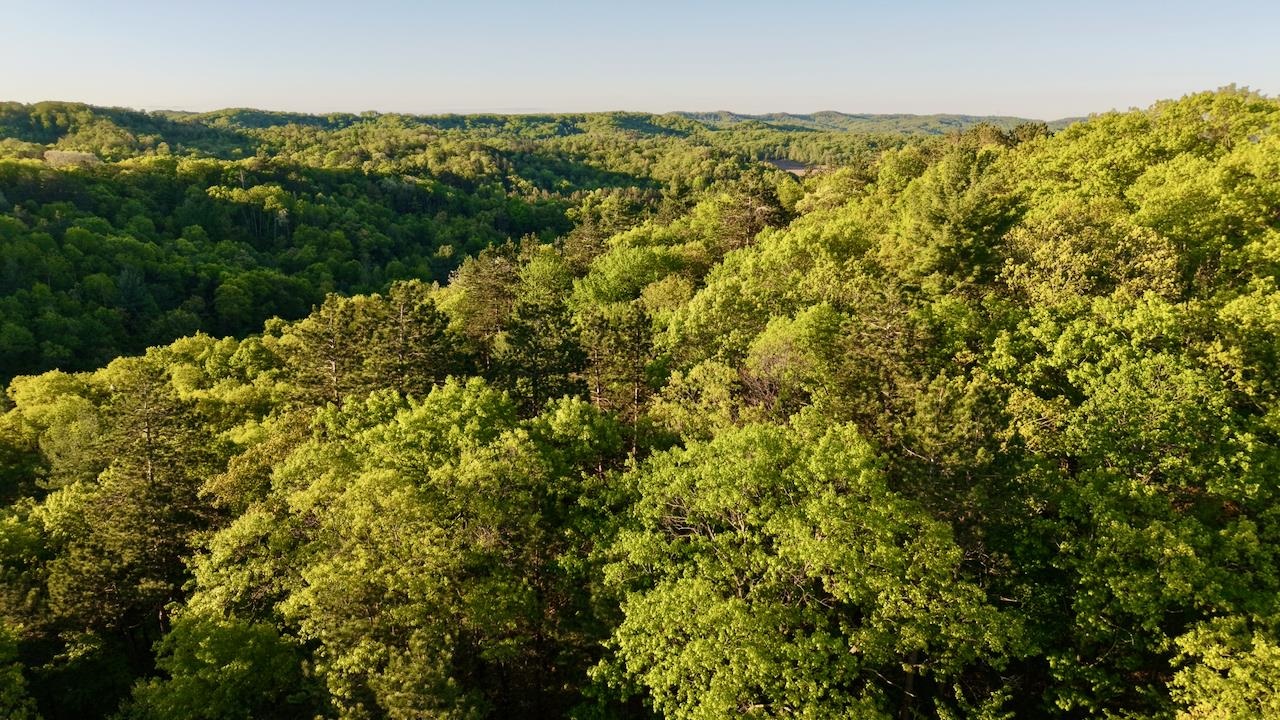 3824 County Highway East Warrens, WI 54666 - Photo 50 of 73