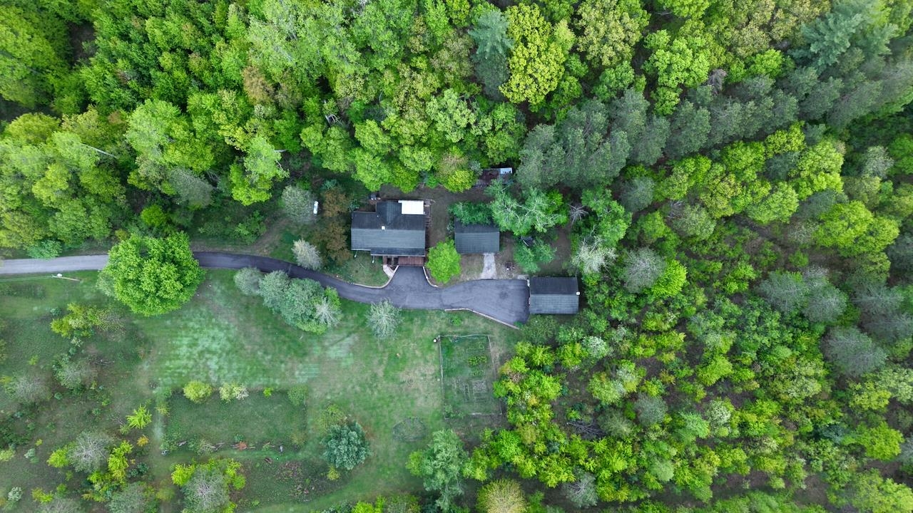 3824 County Highway East Warrens, WI 54666 - Photo 5 of 73