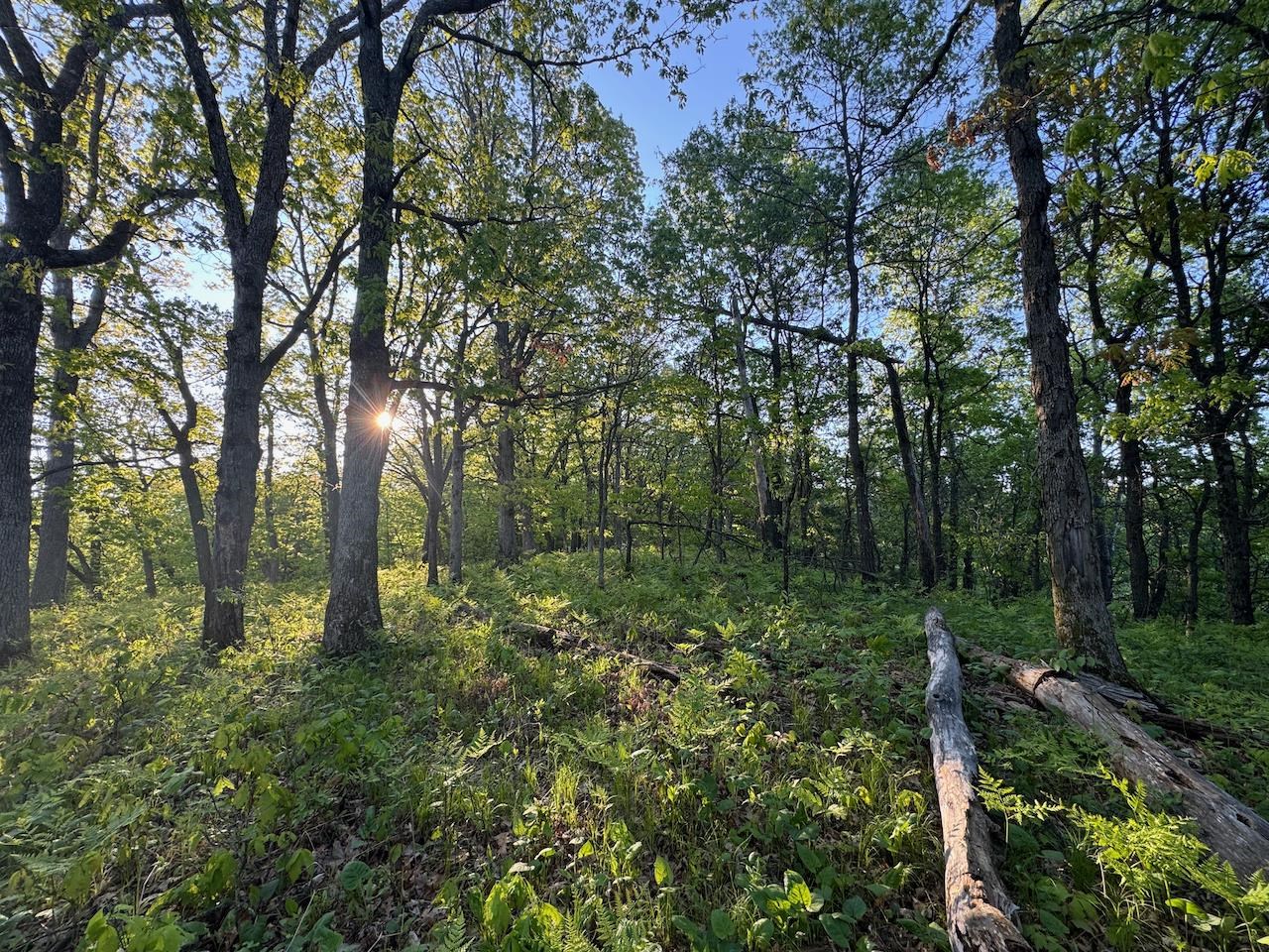 3824 County Highway East Warrens, WI 54666 - Photo 53 of 73