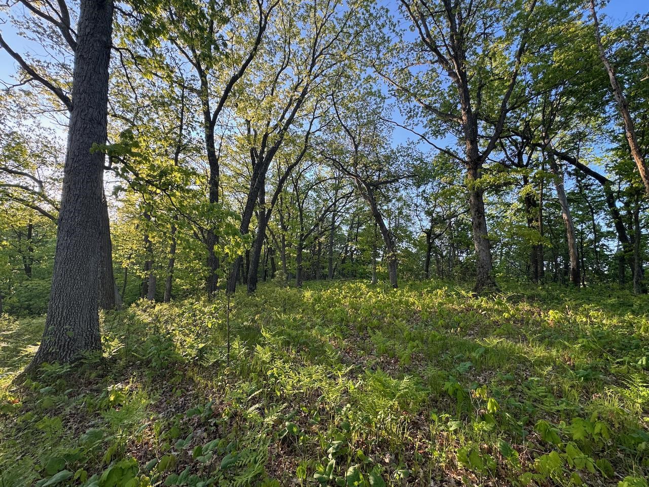 3824 County Highway East Warrens, WI 54666 - Photo 54 of 73