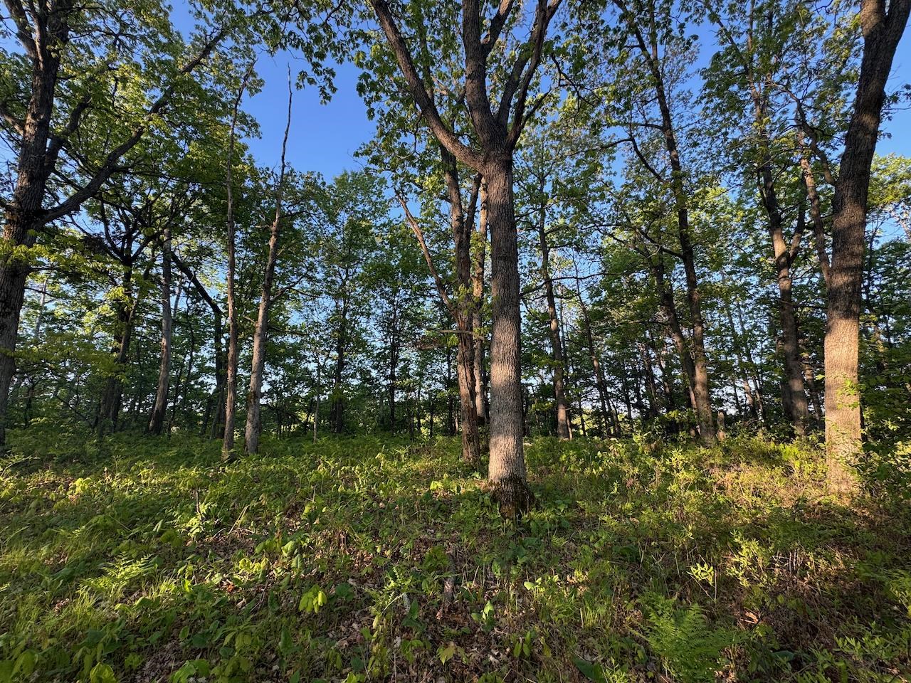 3824 County Highway East Warrens, WI 54666 - Photo 55 of 73